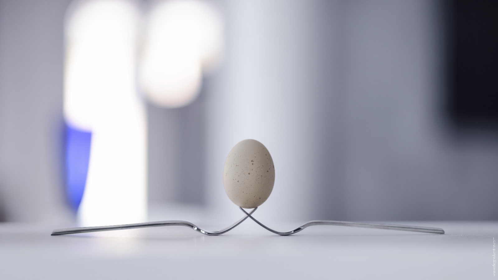 Alla ricerca di un equilibrio