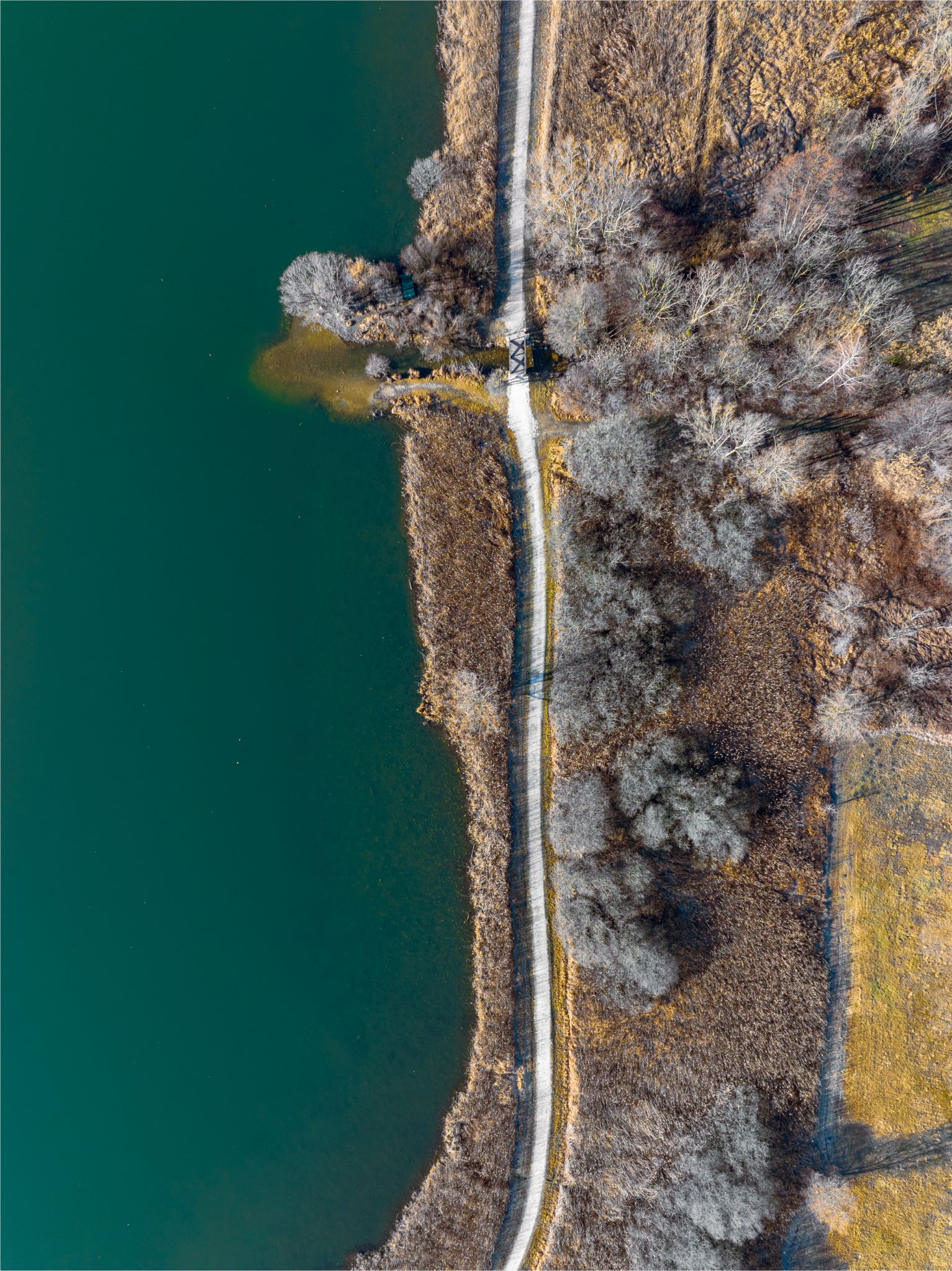 DJI 0658  Revine lago