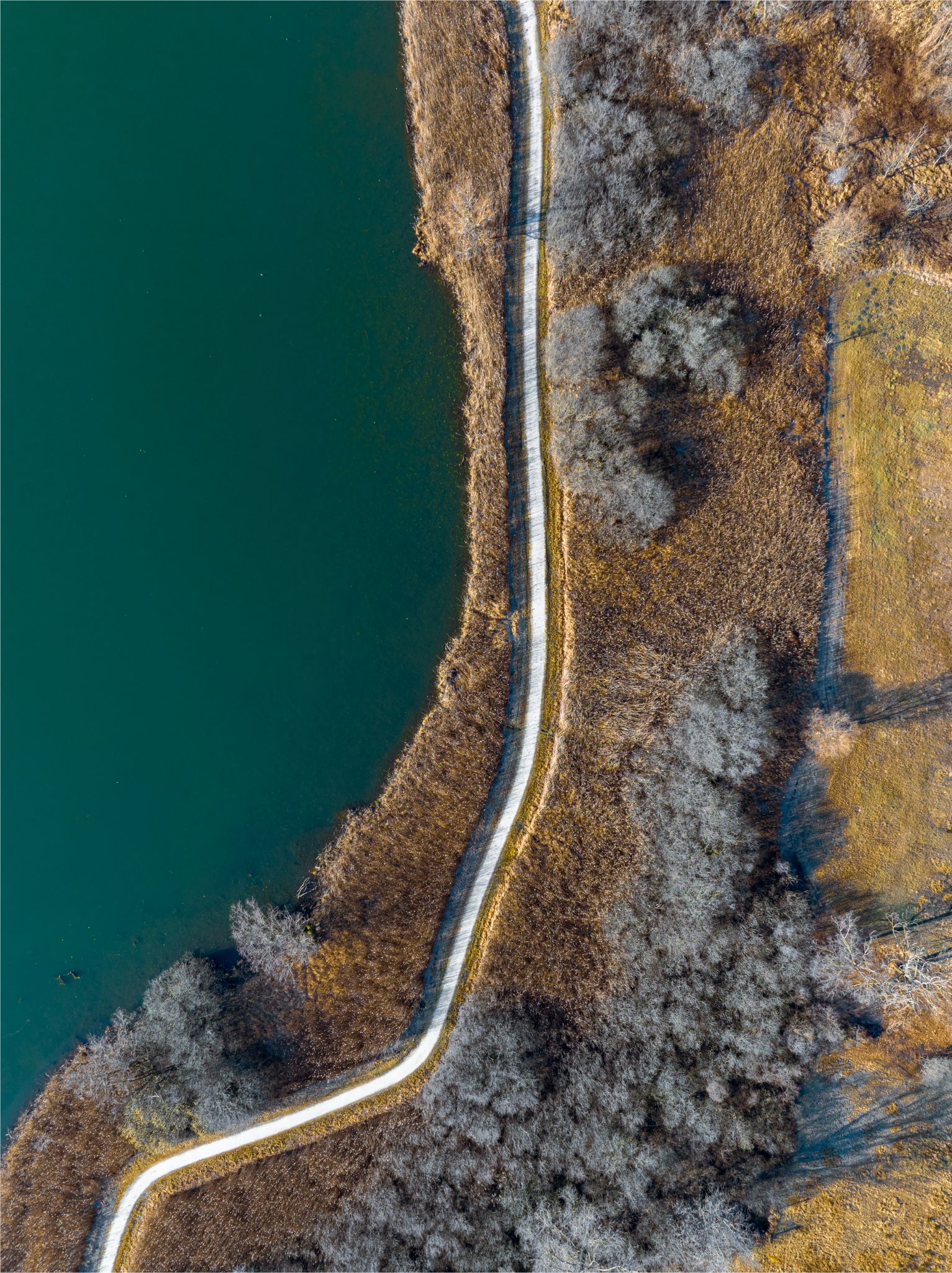 DJI 0663 Revine Lago