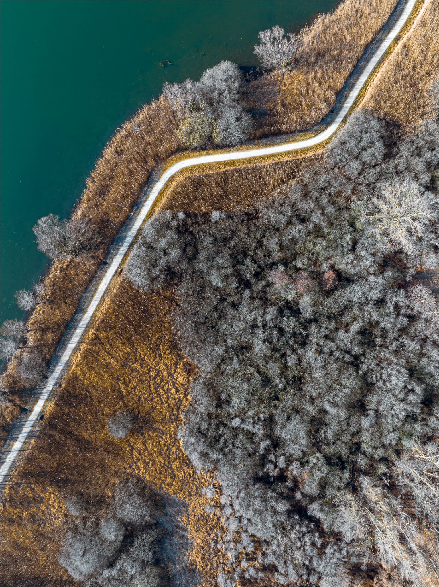 DJI 0669 Revine Lago