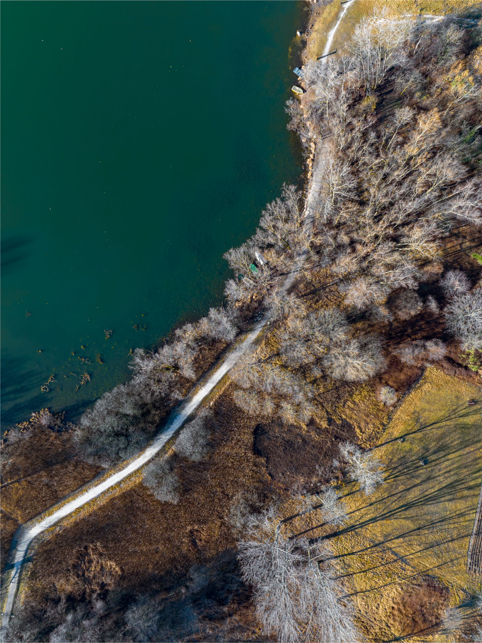 DJI 0674 Revine Lago